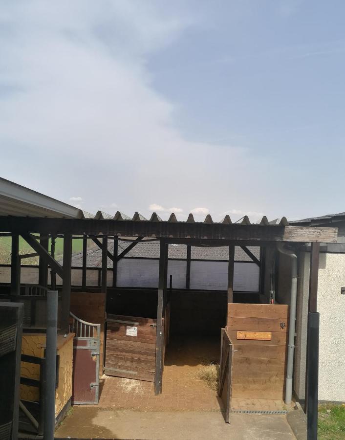 Schoenes Appartement " Die Ponybude" Auf Unserem Reiterhof Birkenbeul 외부 사진